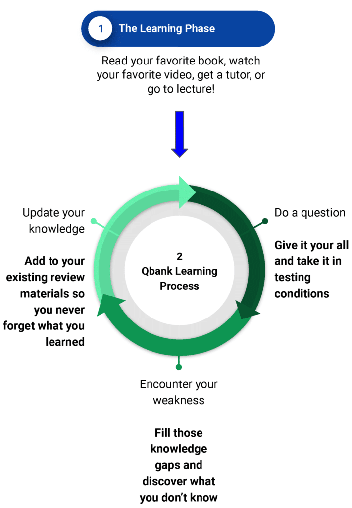 The learning phase and Qbank learning process