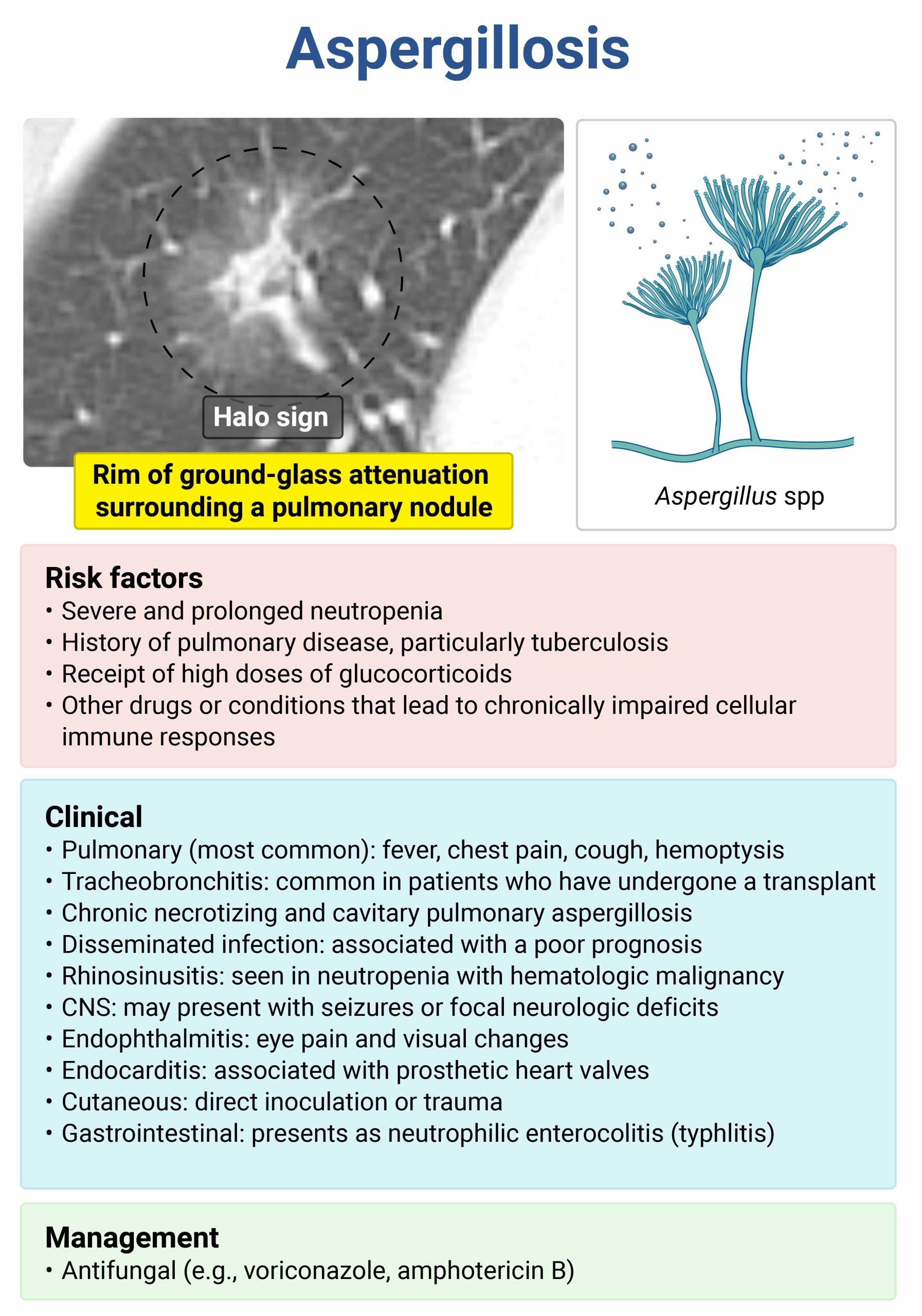 Return to school or daycare chart