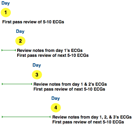 ecg study schedule