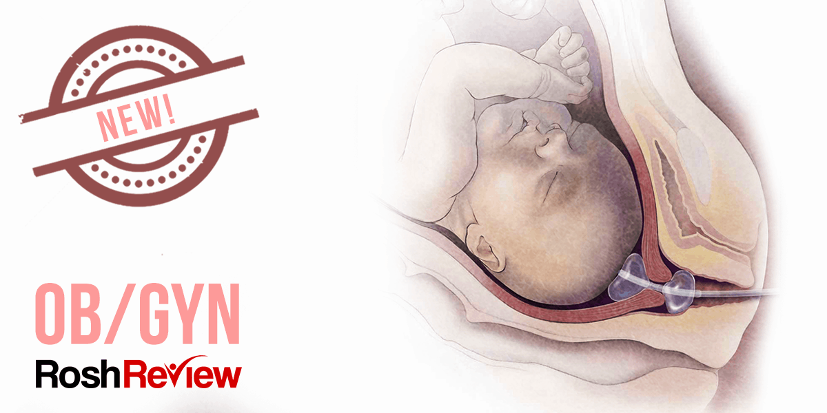 300 new questions added to the OB/GYN QBank